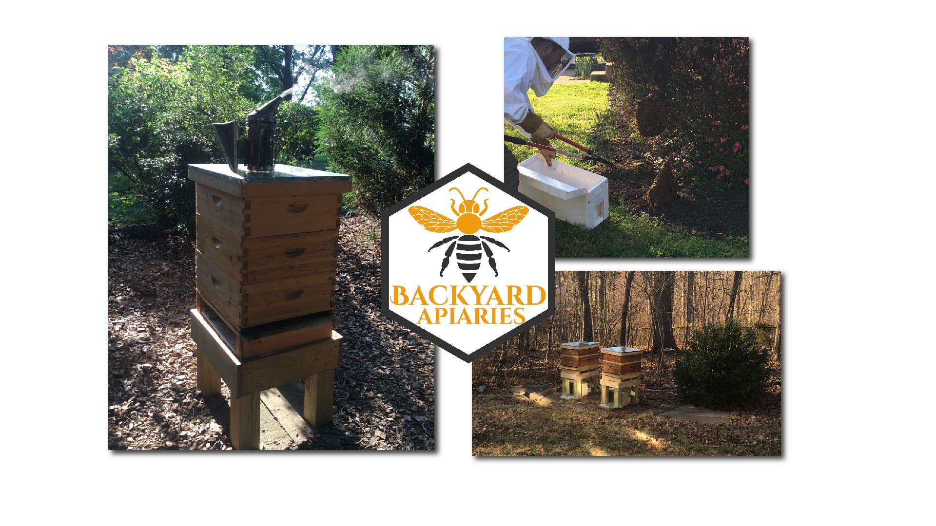 beautiful stained hives we manage.